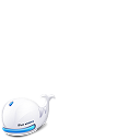 bluewhales 044